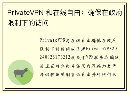 PrivateVPN 和在线自由：确保在政府限制下的访问